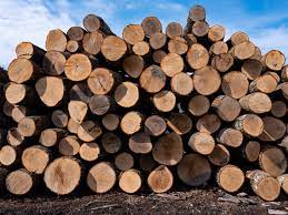 Why lumber prices are so high?